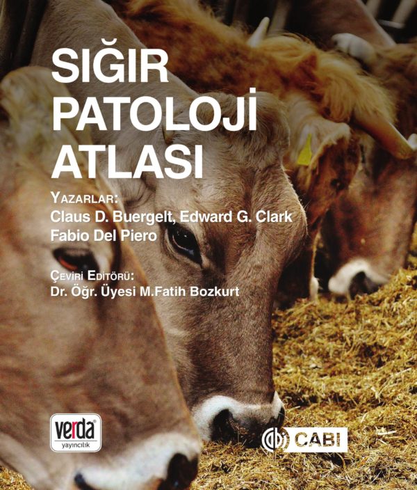 KAMPANYA Sığır Patoloji Atlası (Kargo ücretsiz) Verda